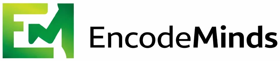 Encode Minds — Web Development & Digital Marketing Agency